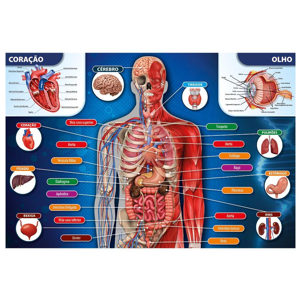 Puzzle 200 Peças Corpo Humano