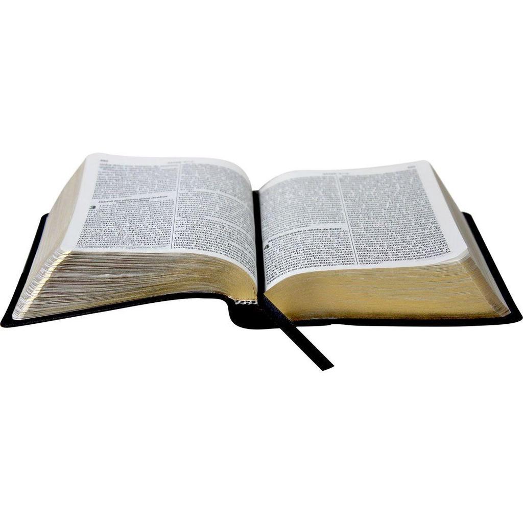 Bíblia Sagrada Ntlh Pequena Com Letra Grande - Preta Luxo