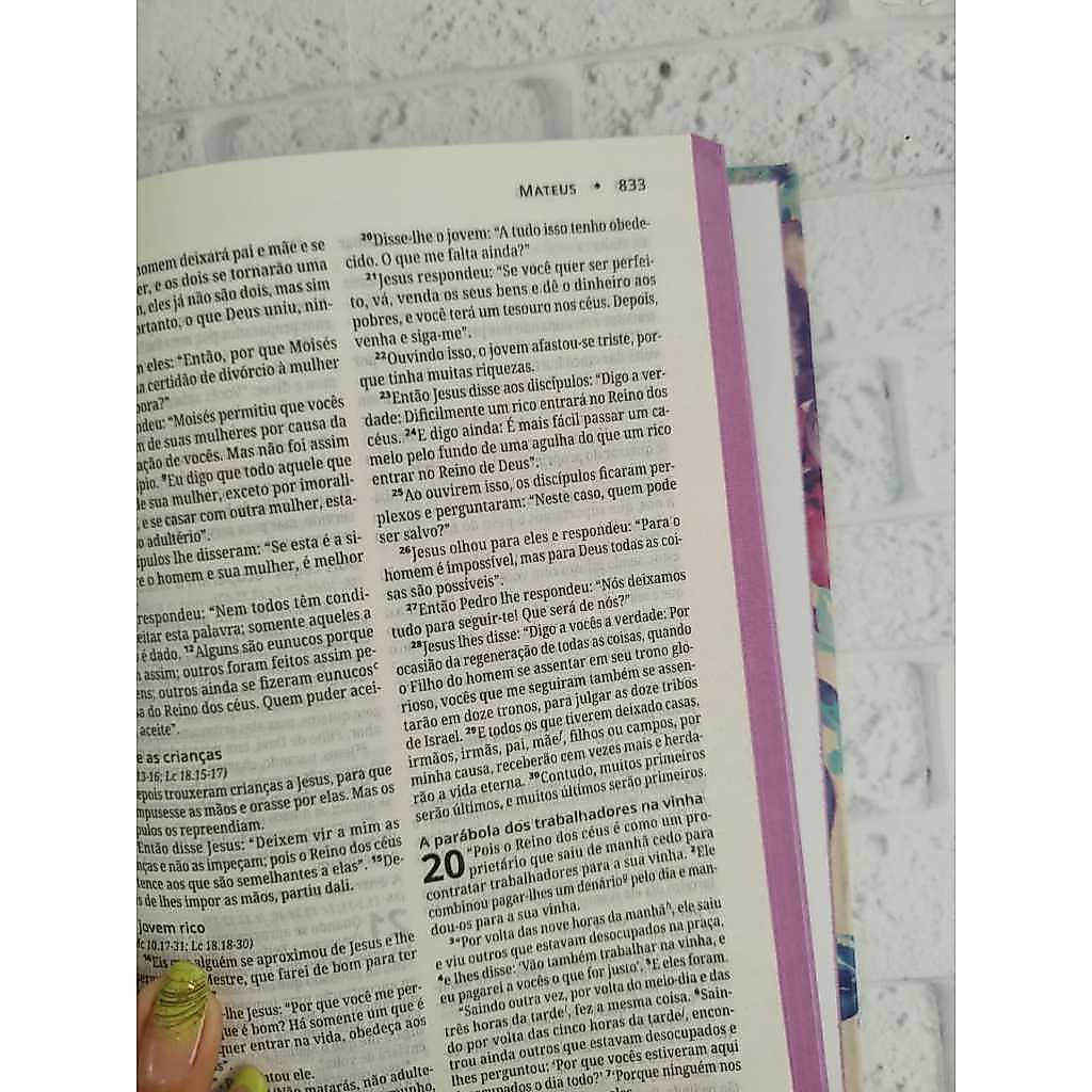 Bíblia Sagrada Nvi Letra Normal Capa Dura Plano De Leitura Jardim De Deus