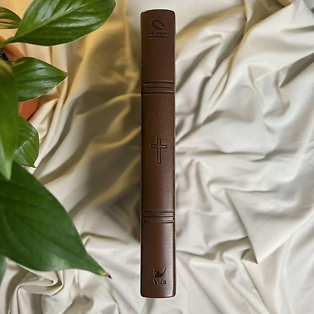 Bíblia Sagrada Slim Naa Com Mapas Mentais Palavras De Jesus Em Vermelho Capa Luxo Marrom
