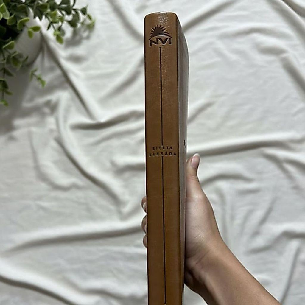 Bíblia Sagrada Slim Nvi Com Mapas Mentais Palavras De Jesus Em Vermelho Capa Luxo Marrom