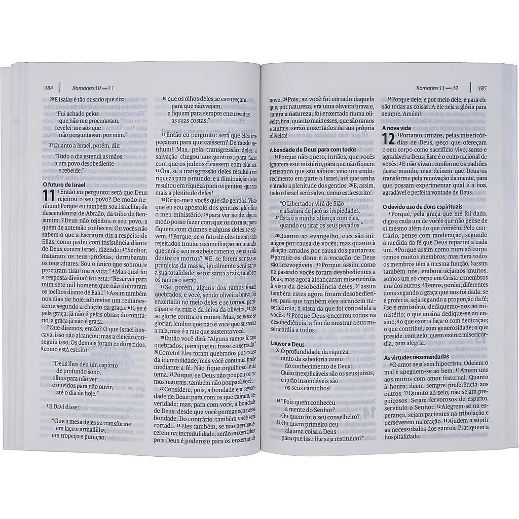 Novo Testamento Com Salmos E Provérbios Naa Letra Normal Tamanho Médio Brochura Reconciliação