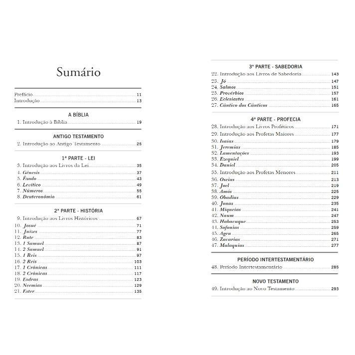 Redescobrindo Sua Bíblia - Panorama Completo Das Escrituras - André Coelho