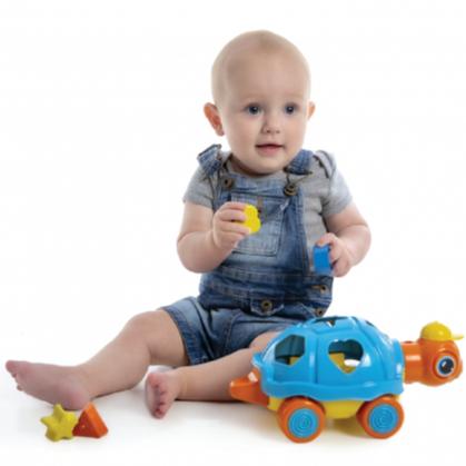 Tartaruga Brinquedo Educativo - Desenvolvimento Cognitivo Coordenação Motora Grande 28cm - Com 6 Peças Geométricas