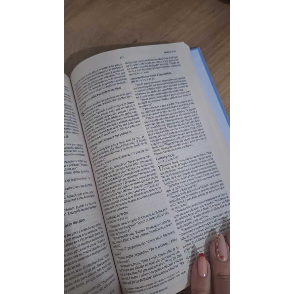 Bíblia Sagrada Nvi Letra Normal Capa Dura Tulipa Azul