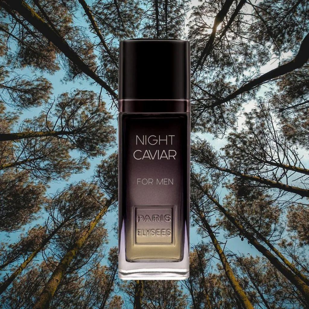 Kit Com 1 Vodka Wild + Night Caviar 100ml Paris Elysees