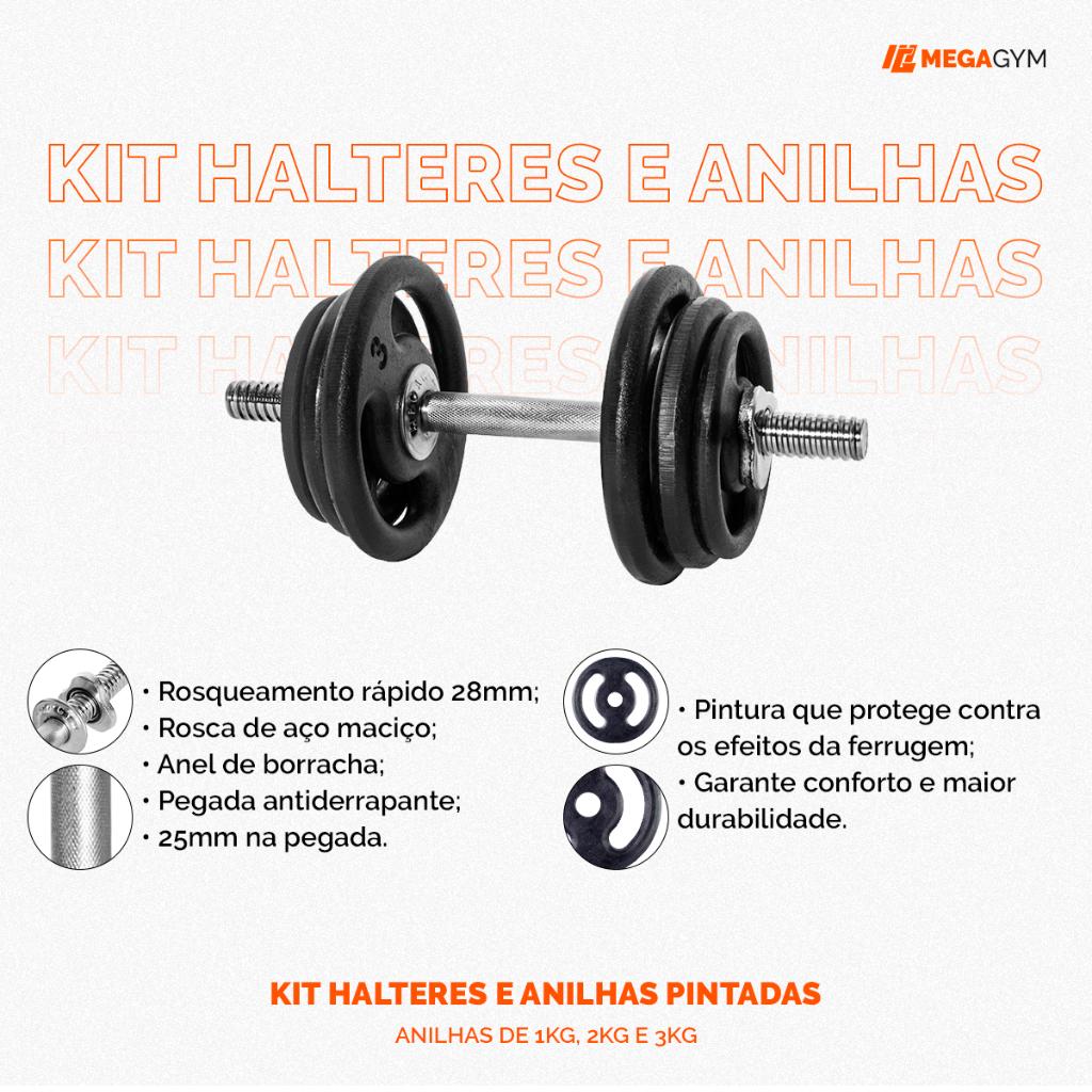 Kit Par De Halteres Barra Rosca 40cm + 24kg De Anilhas De Academia Parta Musculação Peso Academia