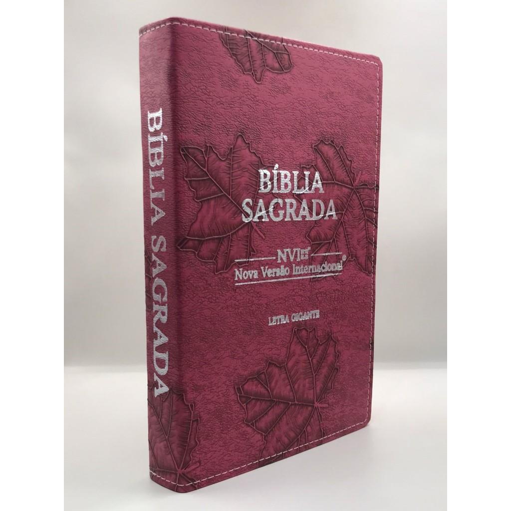 Bíblia Sagrada Nvi Tamanho Grande Capa Flexível Folha Pink