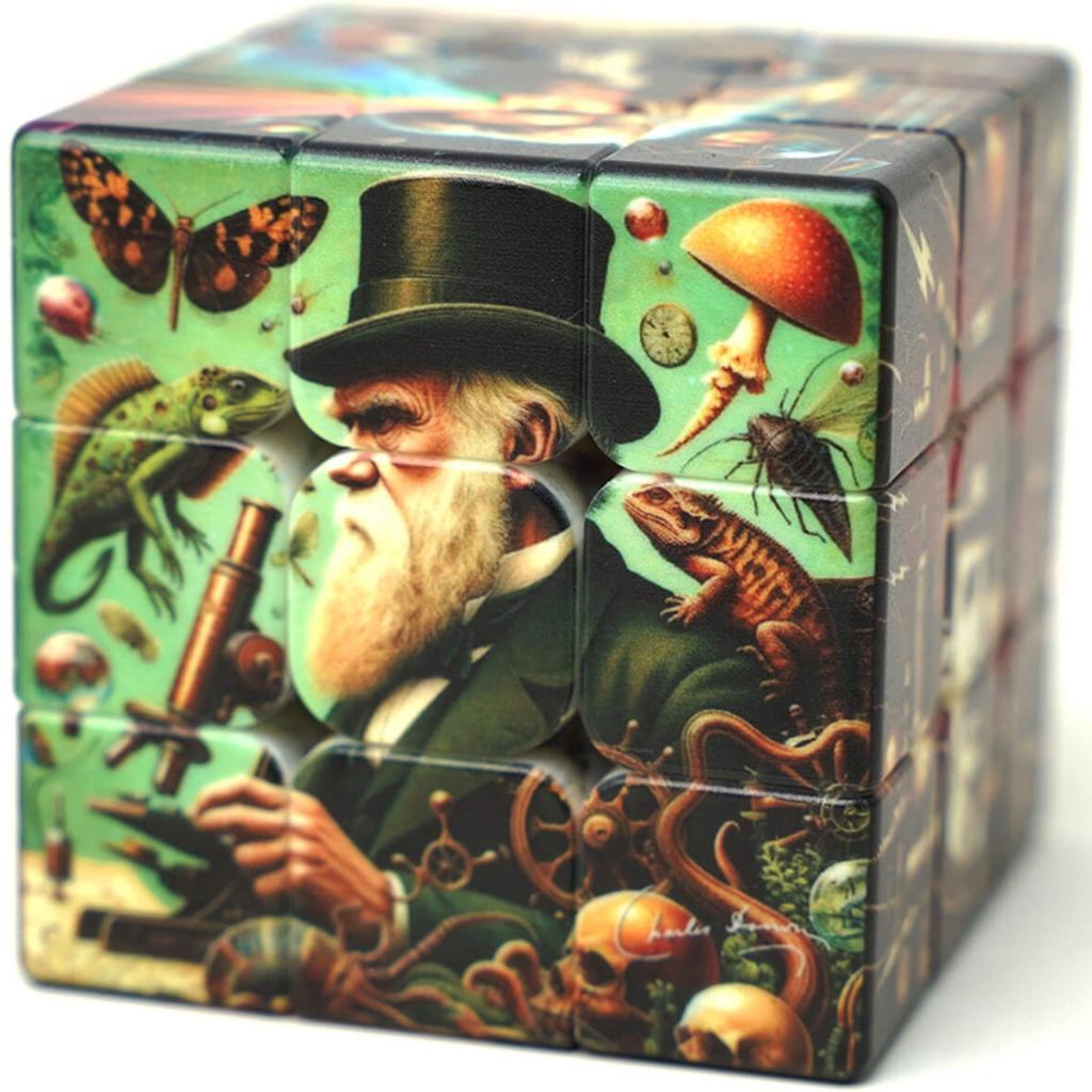 Cubo Mágico 3x3 Personalizado Vinci Cube Ciência Retrô Manual Do Mundo