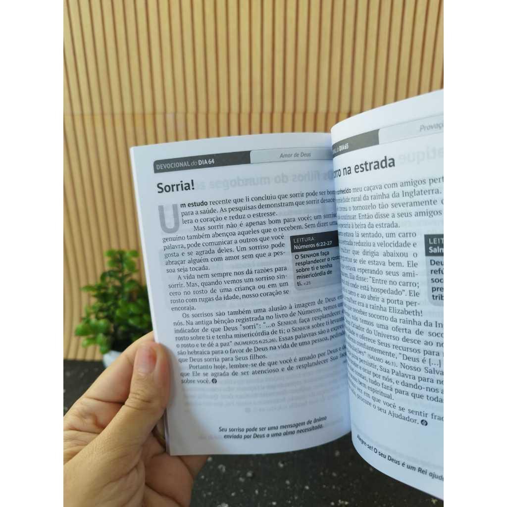 Devocional Pão Diário 90 Reflexões Capa Leão De Judá