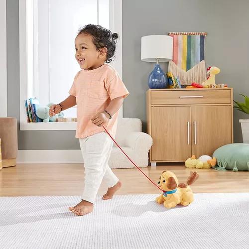 Meu Primeiro Cachorrinho Fisher-price - Mattel H9447