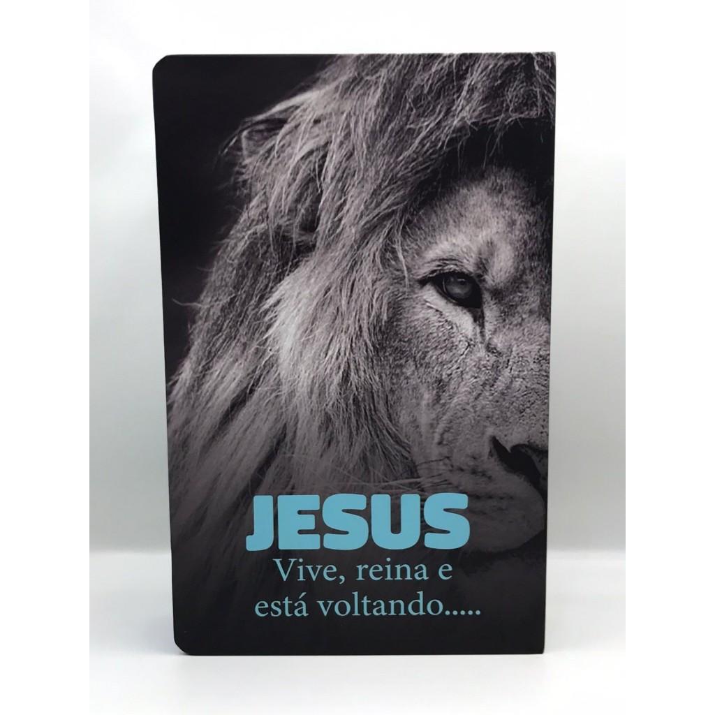 Kit 2 Bíblias Sagrada Tamanho Grande Capa Dura Com Harpa Palavras De Jesus Em Vermelho