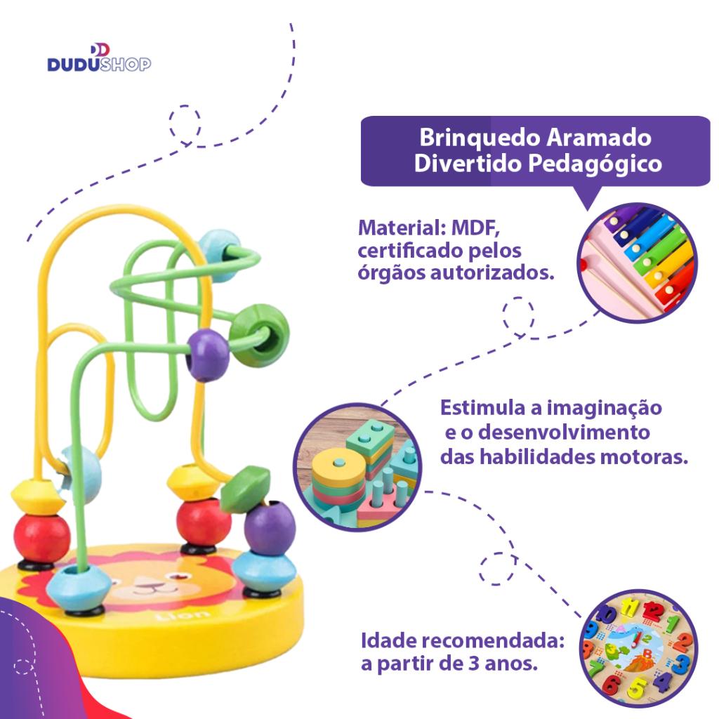 Brinquedo Aramado Divertido Pedagógico Método Montessori Cores E Formas