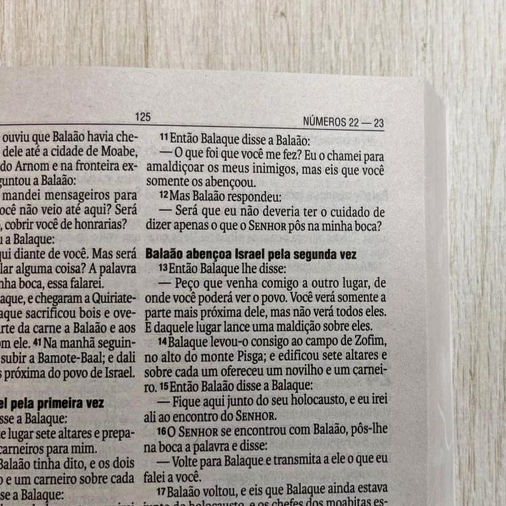 Bíblia Sagrada Flor Minimalista Marrom Naa Letra Normal Capa Ilustrada