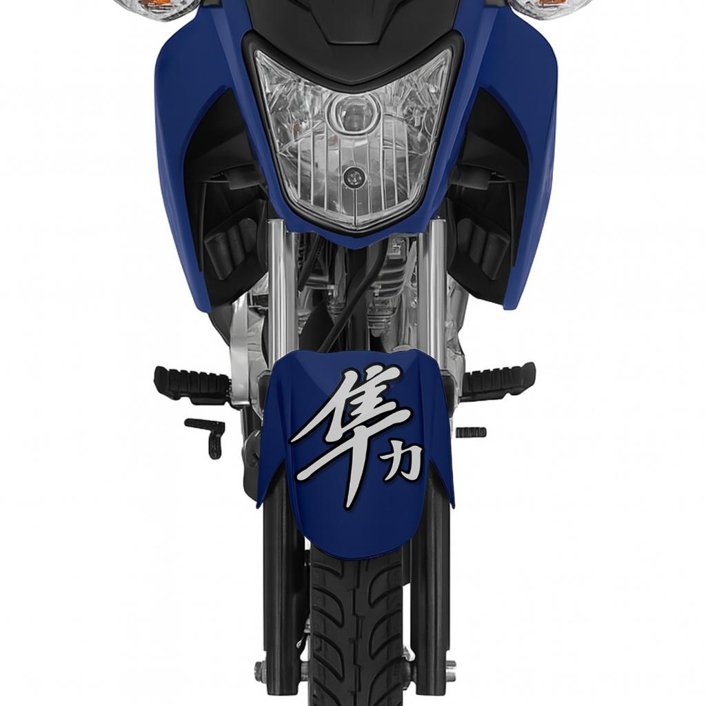 Adesivo Vinil Automotivo Hayabusa Kanji Japones Oriental Moto Bau Capacete Carro Bike