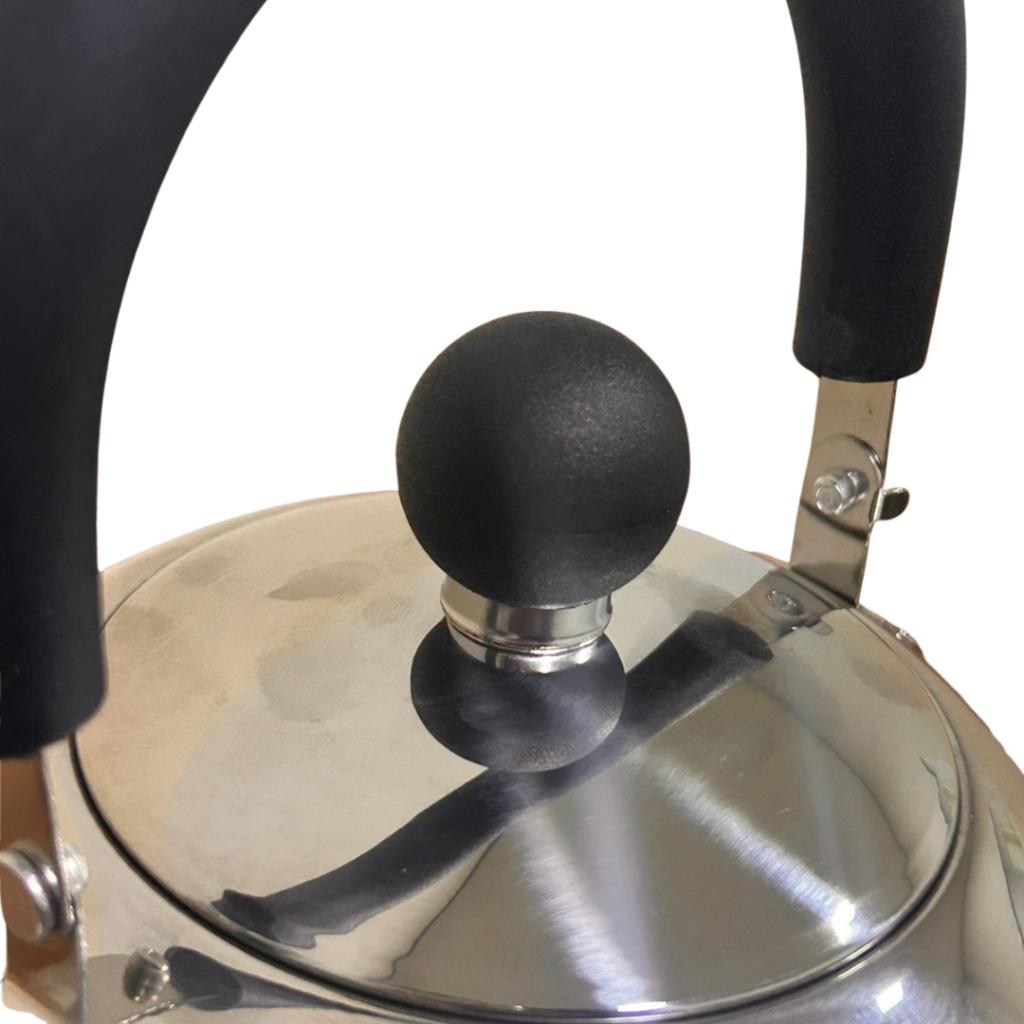 Chaleira Aço Inox Champagne Com Apito Fogão A Gás Elétrico Ferve Rápido - Mor