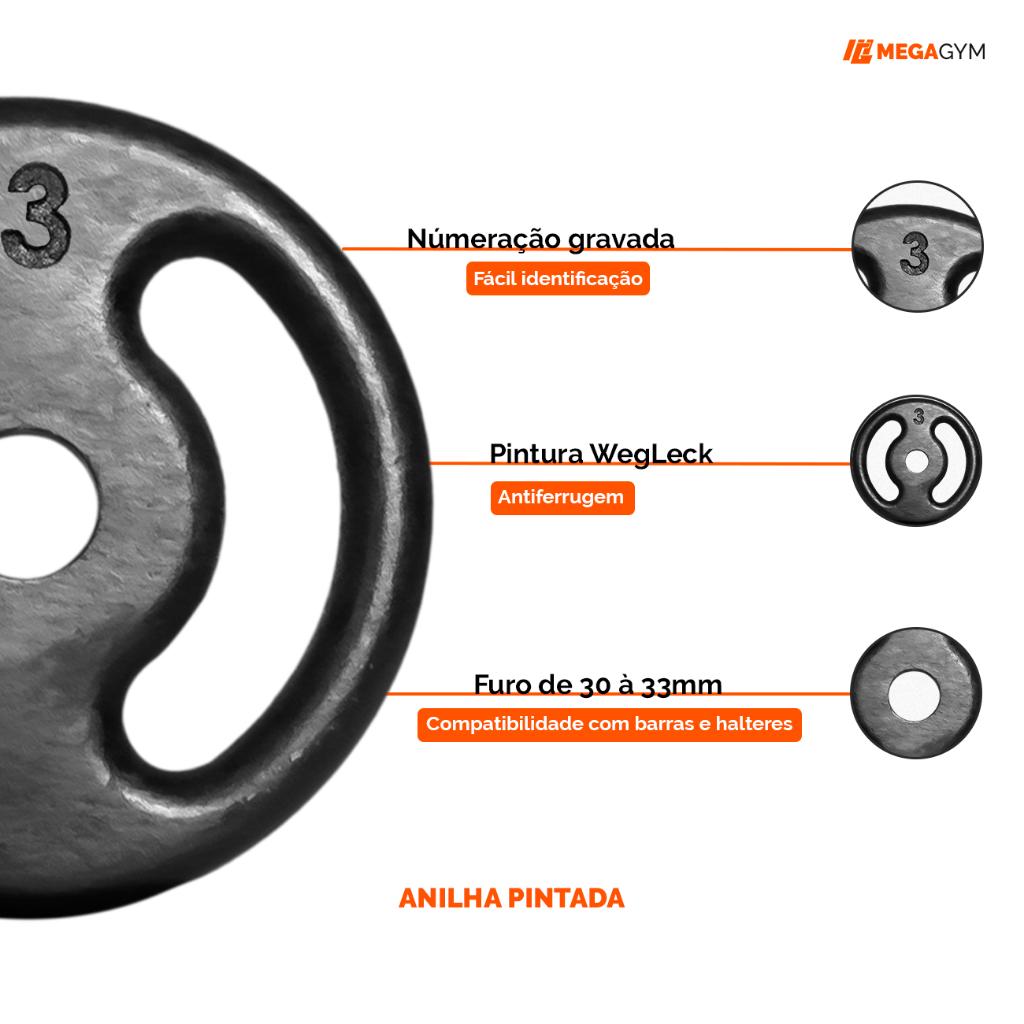 Anilha Pintada 10 A 25kg Ferro Fundido Peso De Academia Musculação Fitness Para Barras E Halteres