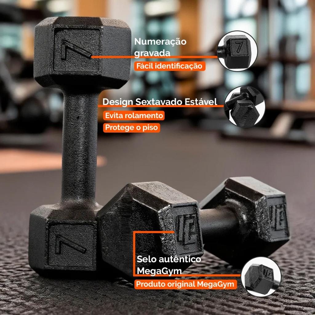 Par De Halter Pintado 6kg A 10kg Sextavado - Peso De Academia Musculação Pesinho Treino Em Casa
