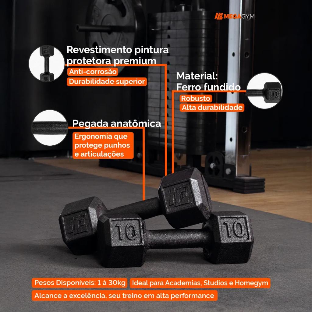 Halter Pintado 12 A 20kg Peso De Academia Dumbbell Sextavado Para Treino Em Casa Musculação
