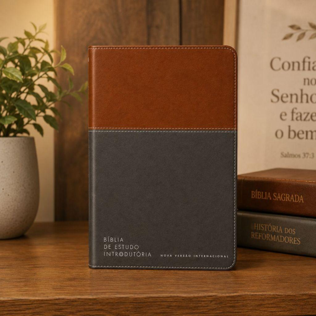 Bíblia De Estudo Introdutória Nvi Leitura Perfeita Couro-soft Marrom E Cinza Chumbo