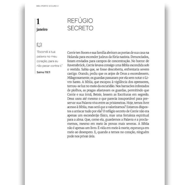 Devocional Meu Porto Seguro 2 - Ricardo Pavanelli