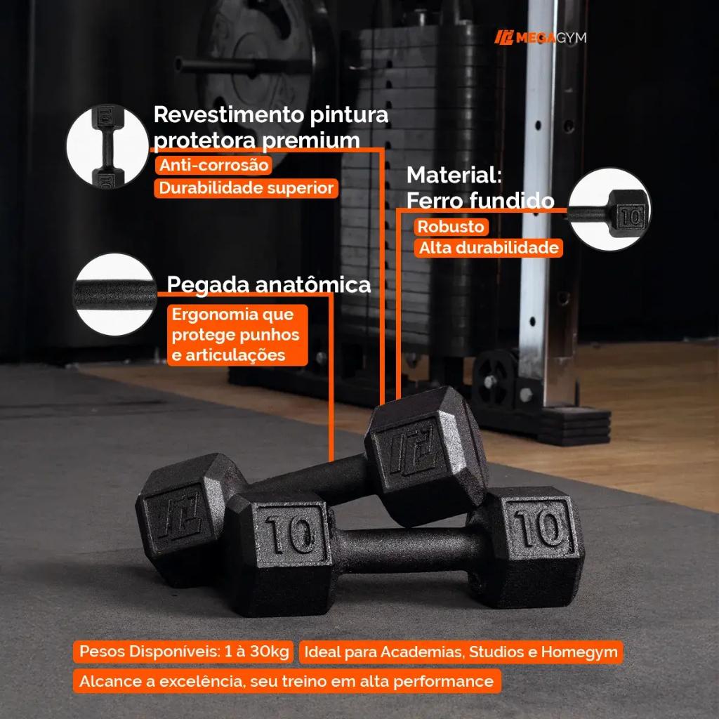 Halter Dumbbell Sextavado Pintado 14kg Peso De Academia Para Treino Em Casa E Musculação