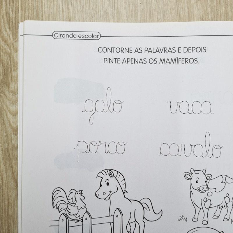 Livro Ciranda Escolar Palavras Caligrafia