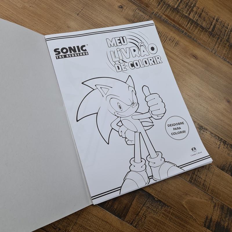 Meu Livrão De Colorir Sonic