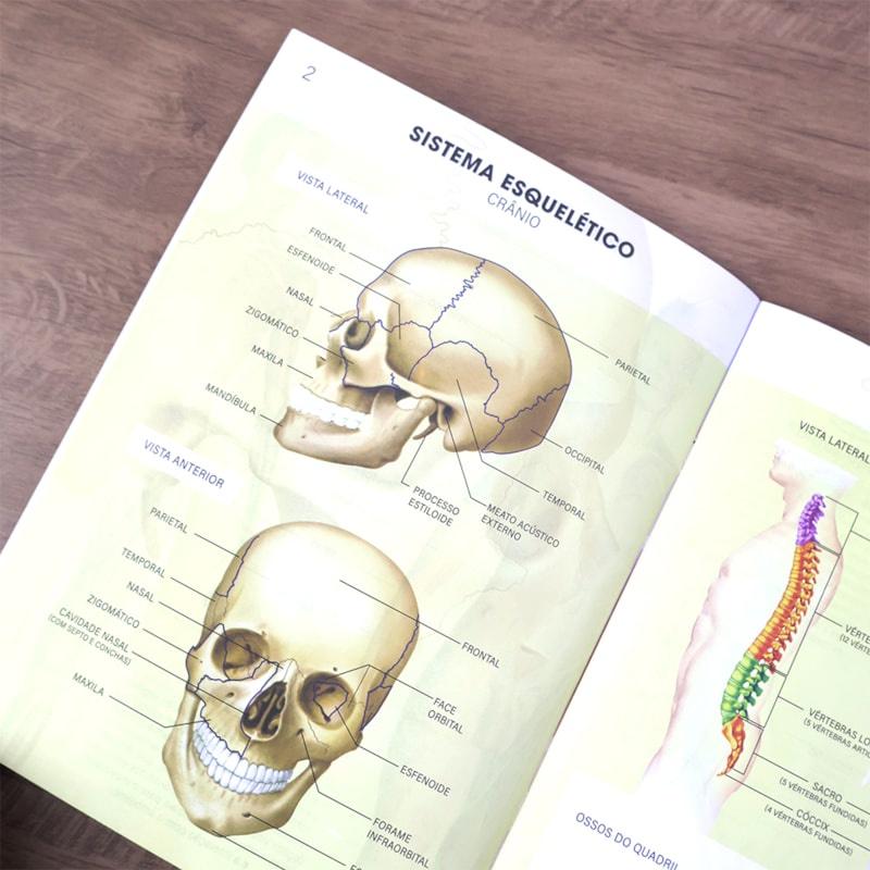 Livro Atlas Do Corpo Humano Edição Revisada E Atualizada