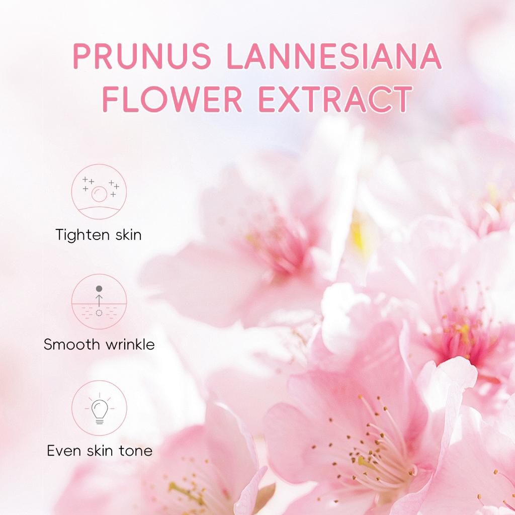 Laikou Essência Facial Sakura Anti-idade Para O Local Escuro/cuidados Com A Pele 30ml