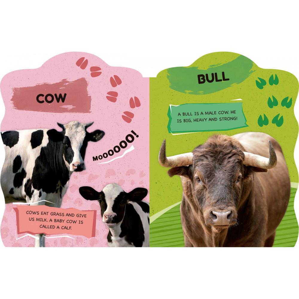 Livro Farm Animals