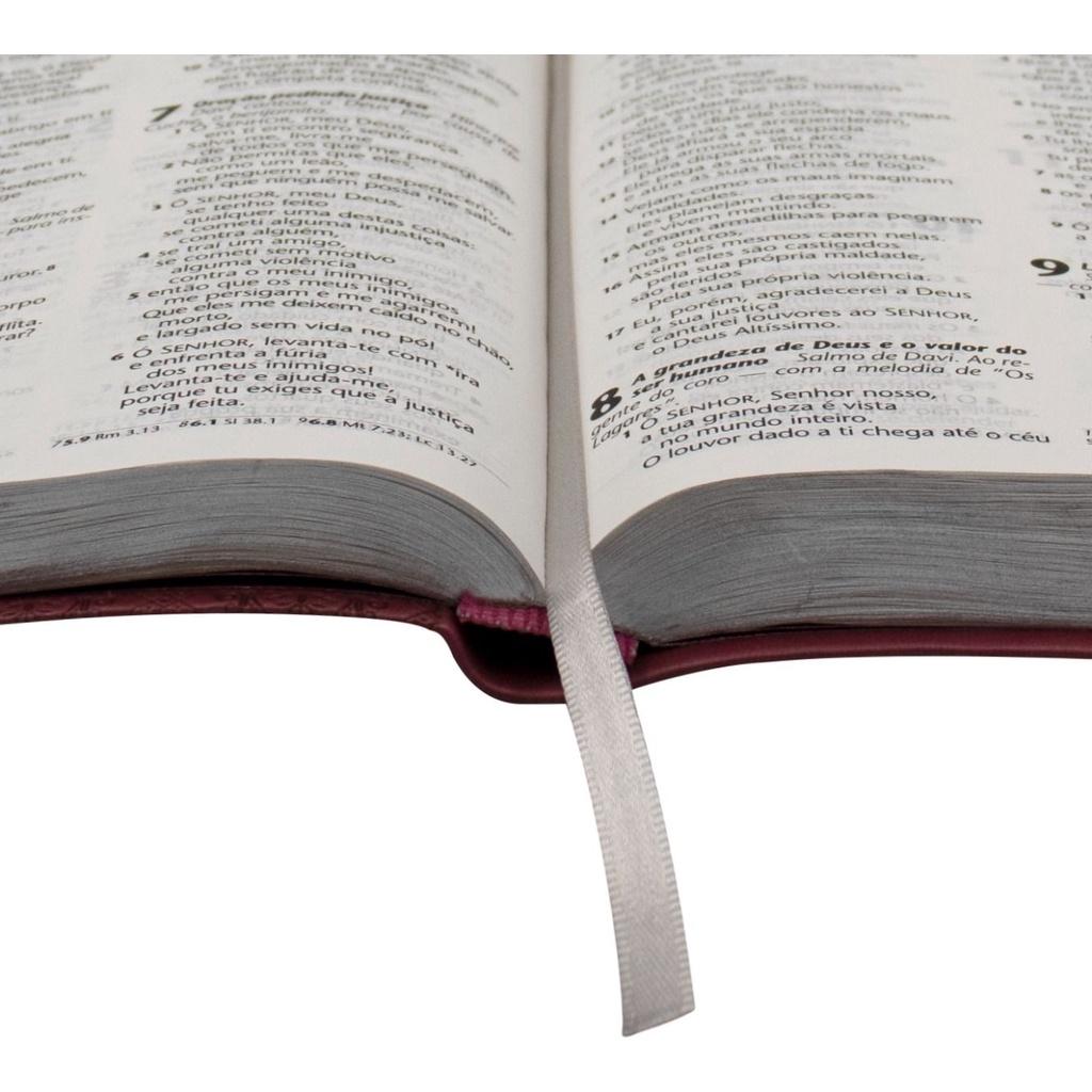 Bíblia Sagrada Ntlh Letra Grande Luxo Pink