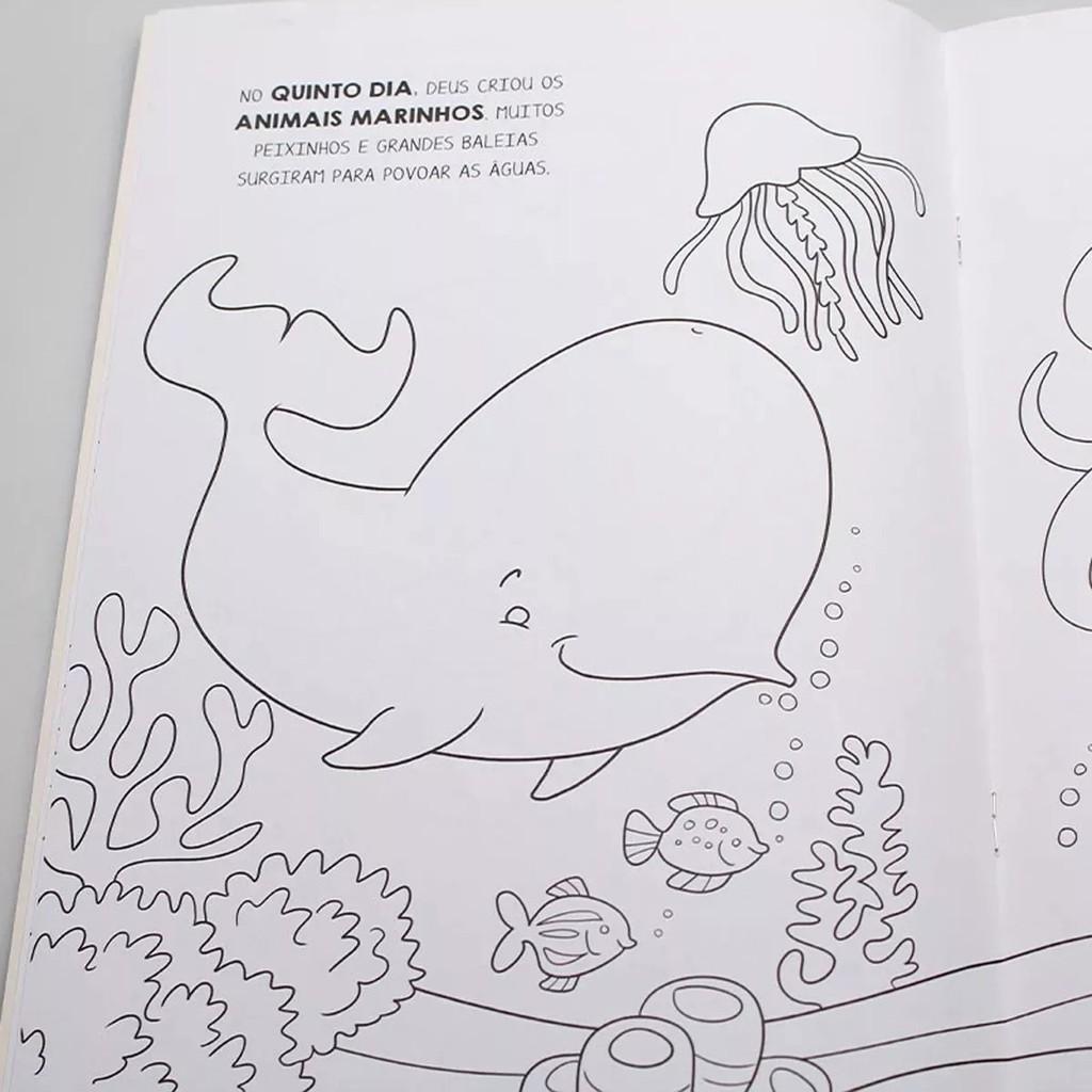 Livro A Criação - Livro Com Aquarela + Pincel