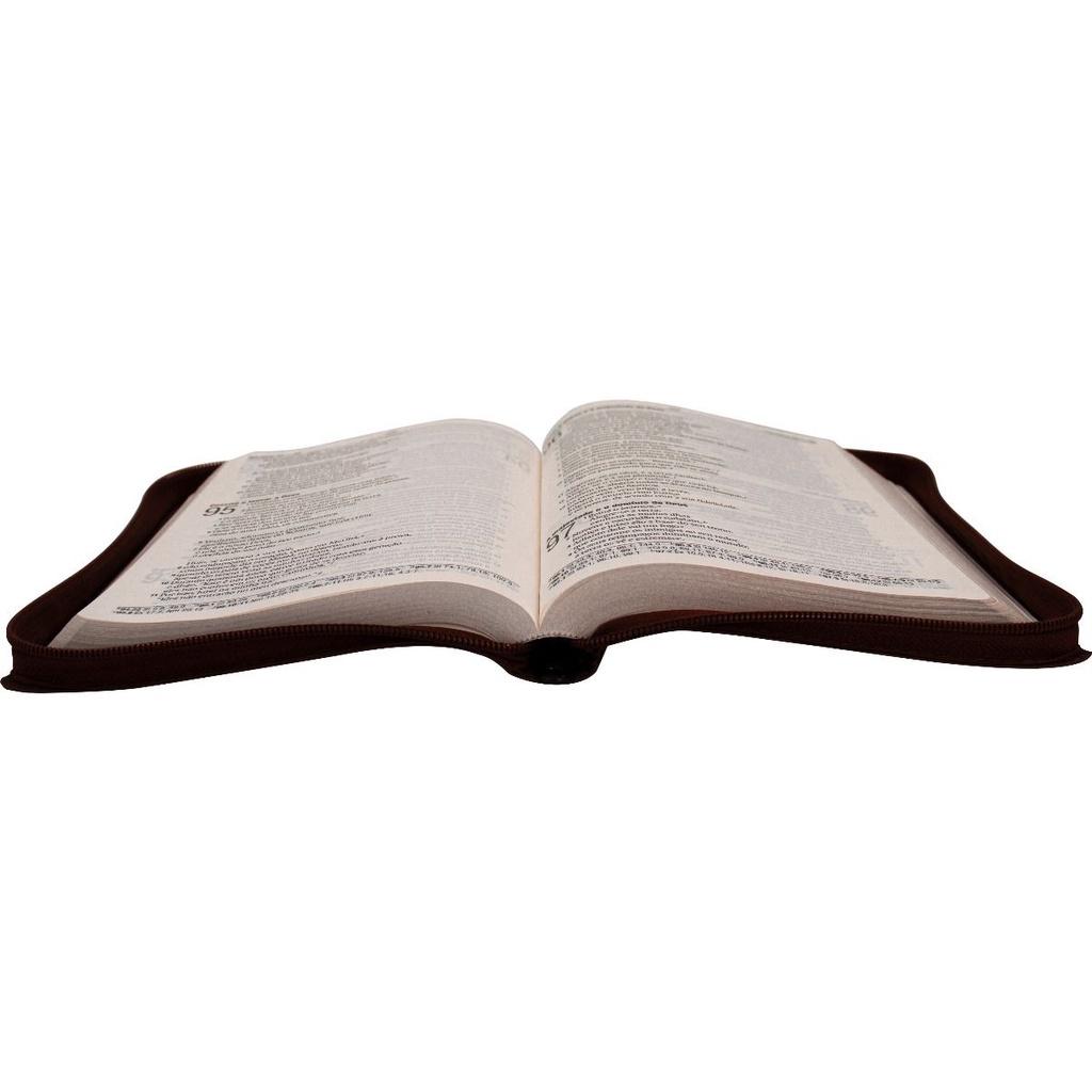 Bíblia Sagrada Naa Letra Grande Zíper Linha Ouro Vermelha Flores