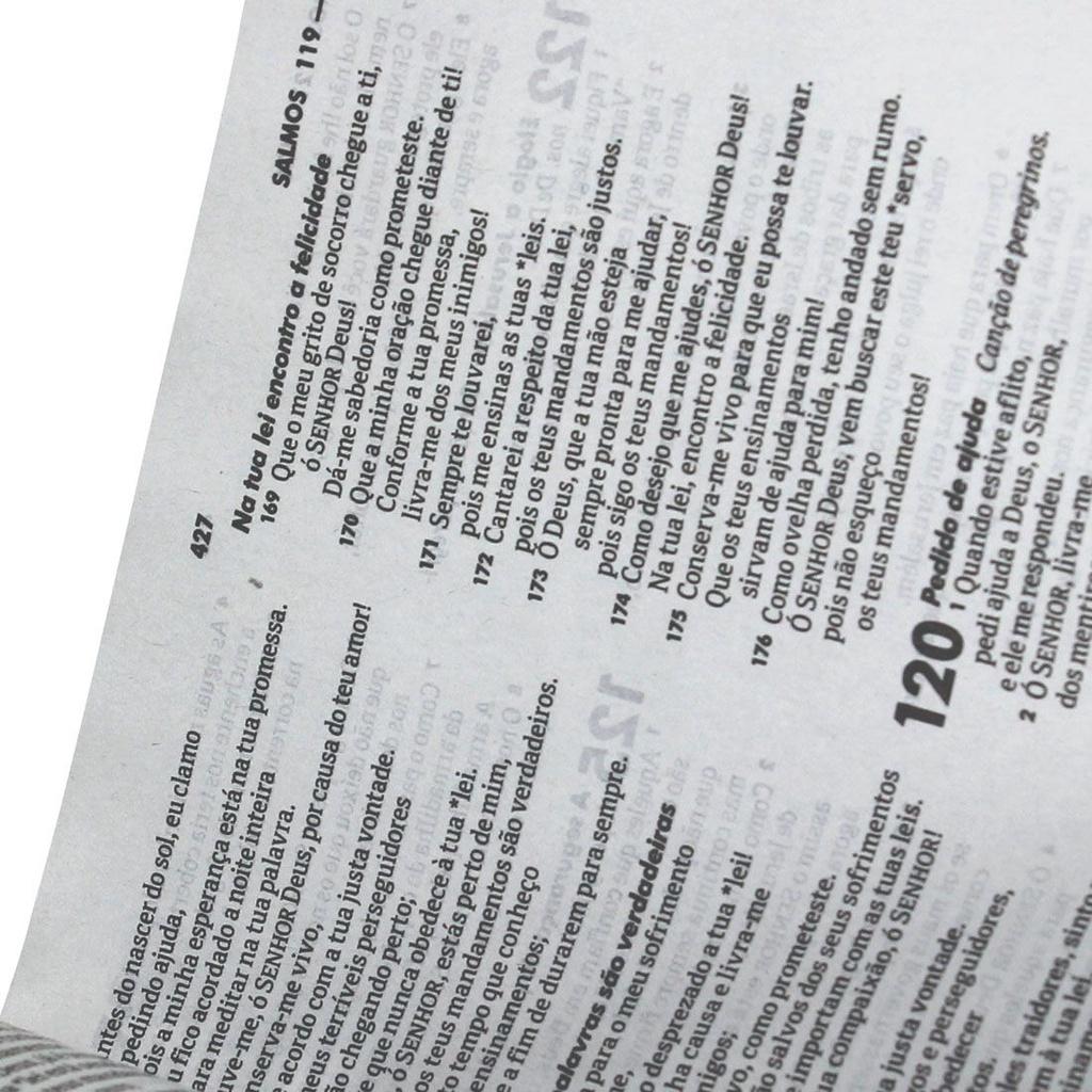 Bíblia Sagrada Ntlh Letra Normal Brochura Mig E Meg Ovelha