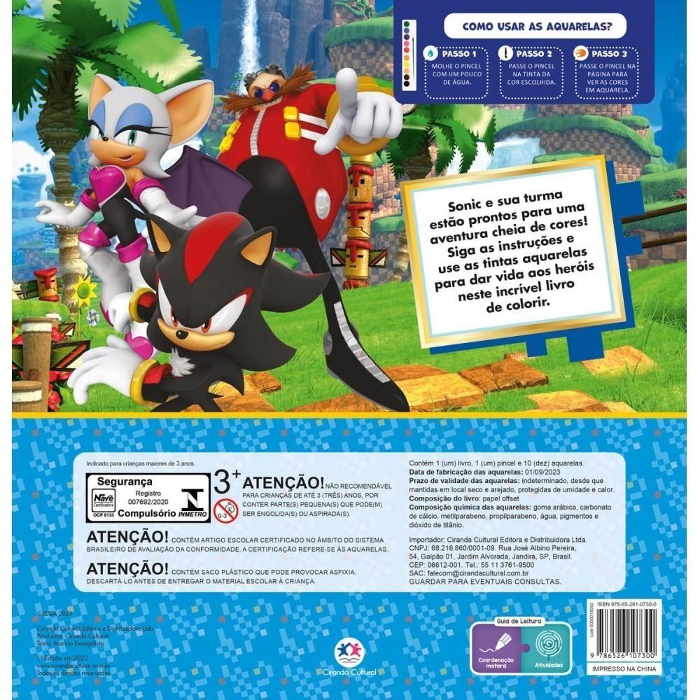 Kit Livros Infantil Sonic De Colorir