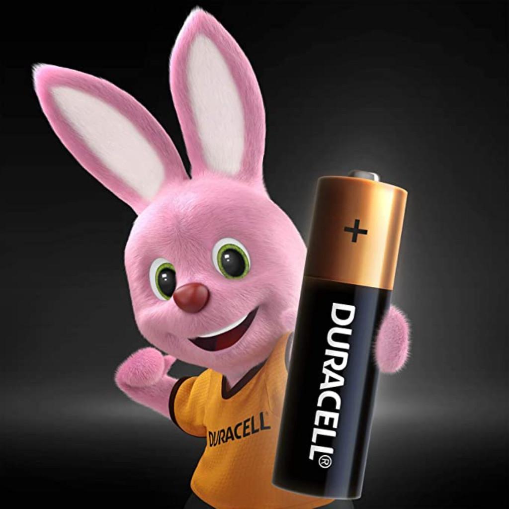 Pilha Alcalina Duracell Aa Cartela Com 8UN