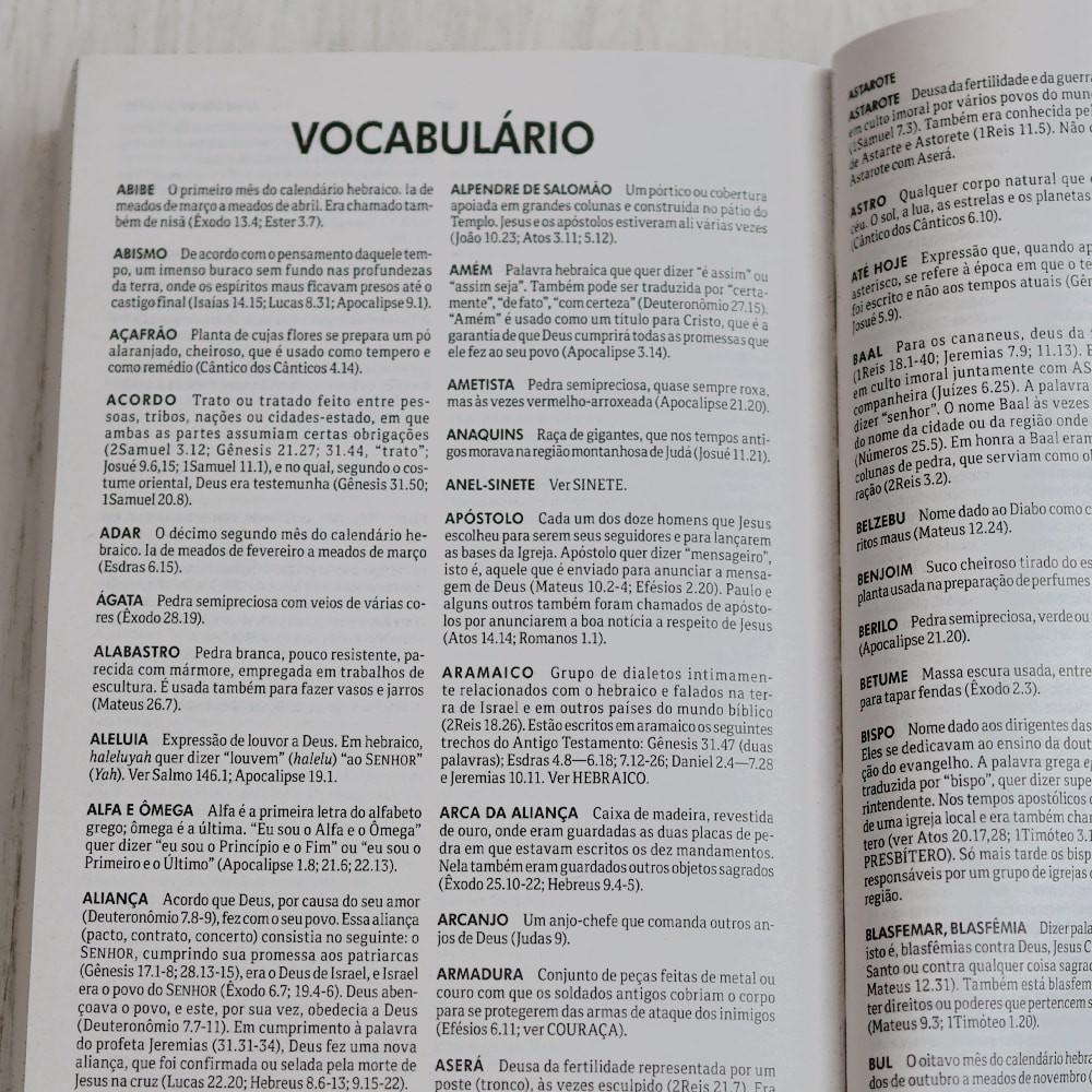 Bíblia Sagrada Ntlh Reino De Deus Brochura