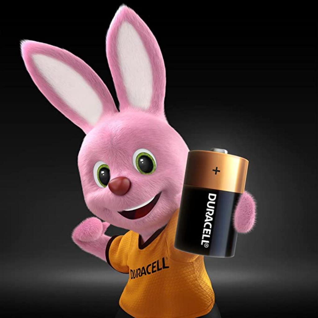 Pilha Duracell Alcalina Grande D Com 2 Unid