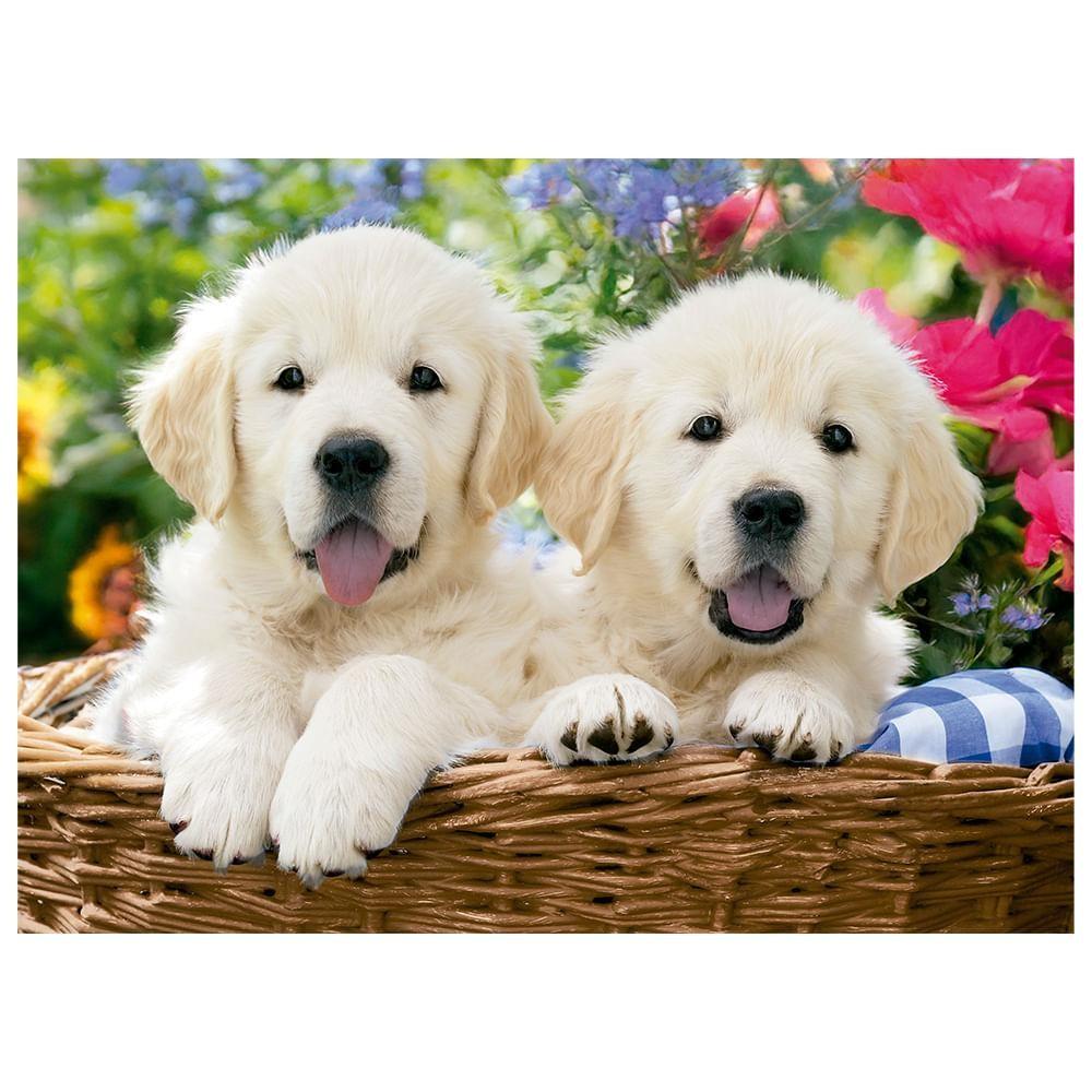 Mini Quebra-cabeça 500 Peças Cesta De Labradores