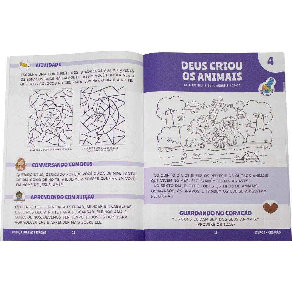 Estudando Com A Bíblia Ntlh Livro 1 A Criação