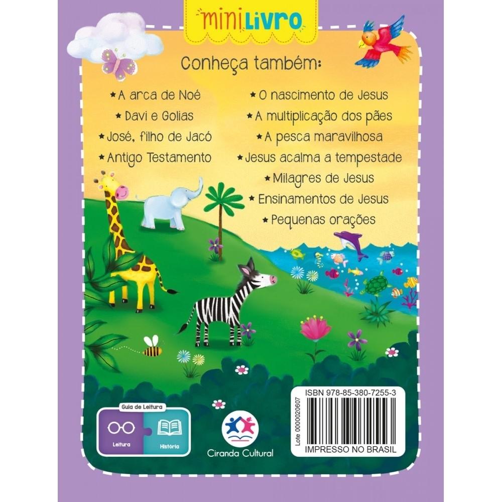 Kit Histórias Da Bíblia A Criação - 40 Unidades