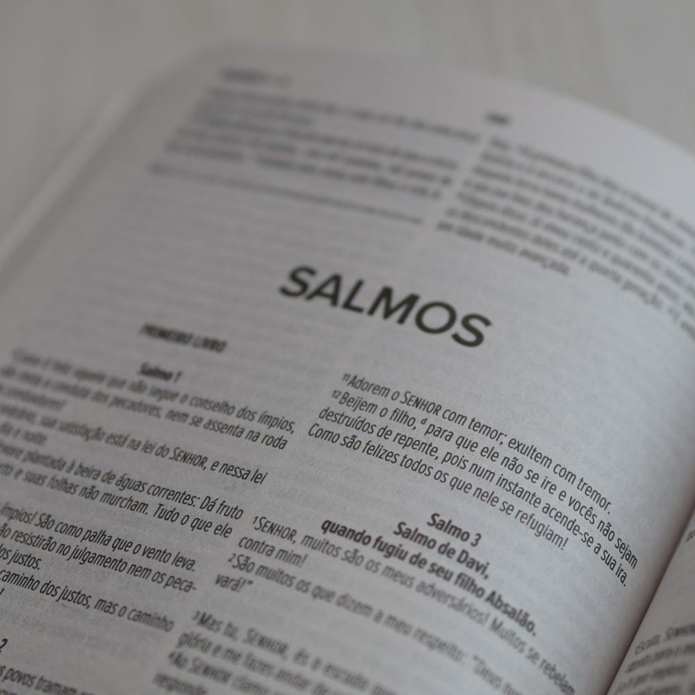 Bíblia Sagrada Feminina Nvi Capa Brochura