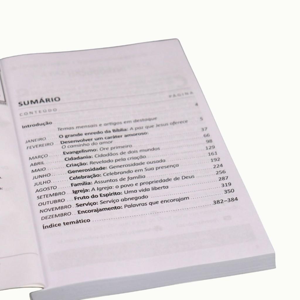 Devocional Pão Diário Volume 29 365 Reflexões Para O Seu Tempo Com Deus Leão De Judá