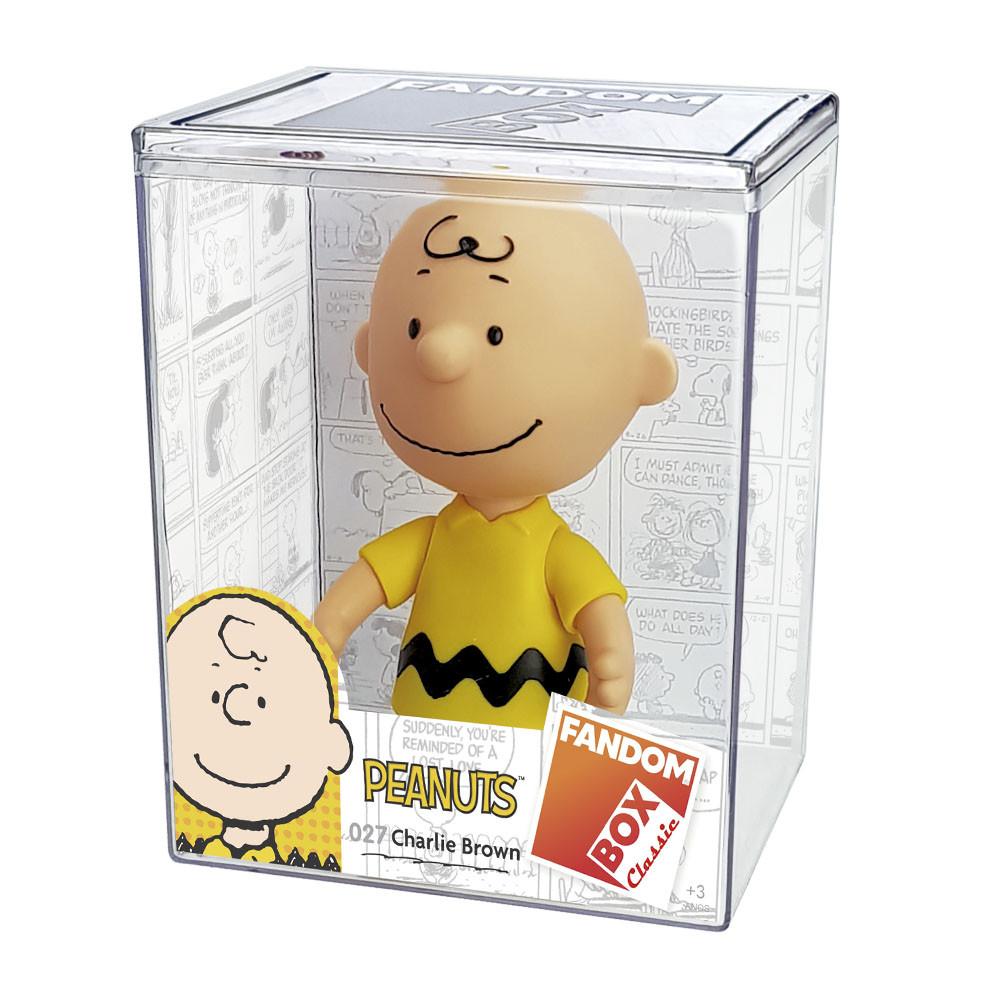Fandom Box - Snoopy - Charlie Brown