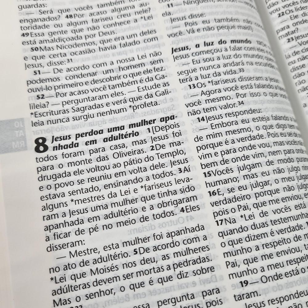 Bíblia Sagrada Azaleia Ntlh Letra Grande Capa Dura