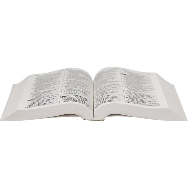 Bíblia Sagrada Letra Gigante Ntlh Capa Brochura Hebreus