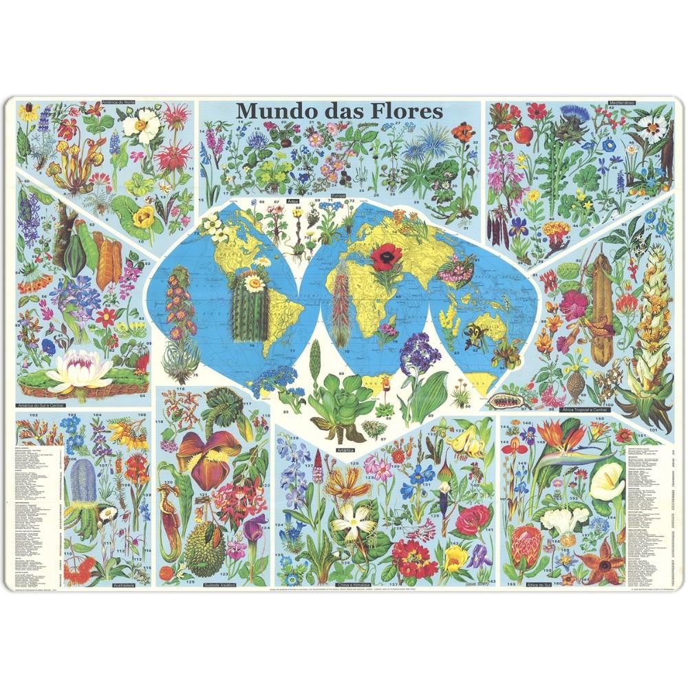Quebra Cabeça Mundo Das Flores 500 Peças Toyster Puzzle Mapa Mundi Espécies Pinturas Continentes Geo