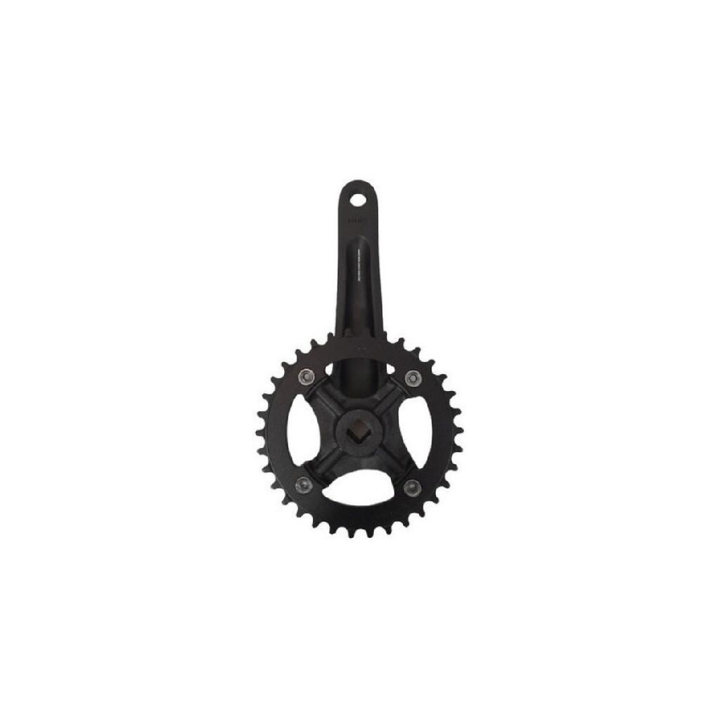 Pedivela Absolute Wild Single 34D 175mm Mtb 9V 10V 11V 12V