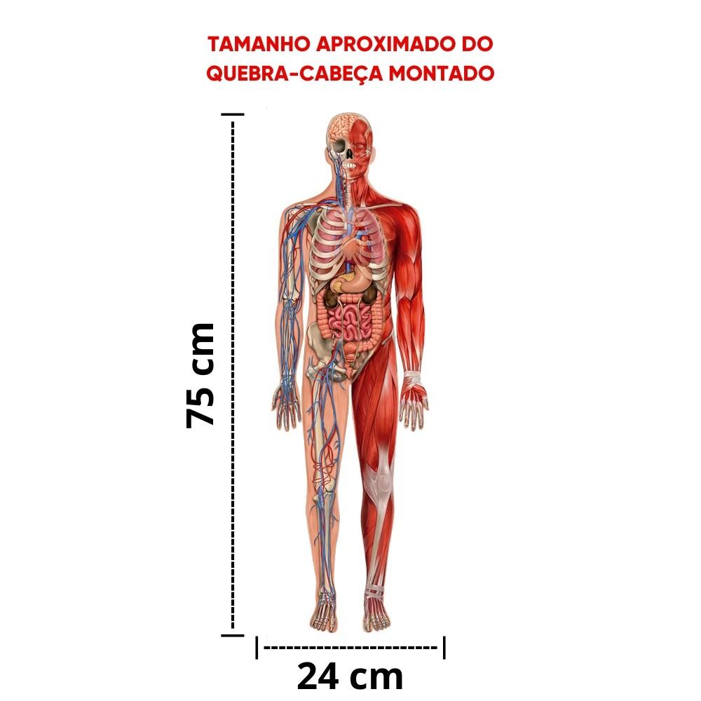 Quebra Cabeça Puzzle Play Gigante Corpo Humano 100 Peças Grow Realidade Aumentada 3D Aplicativo App